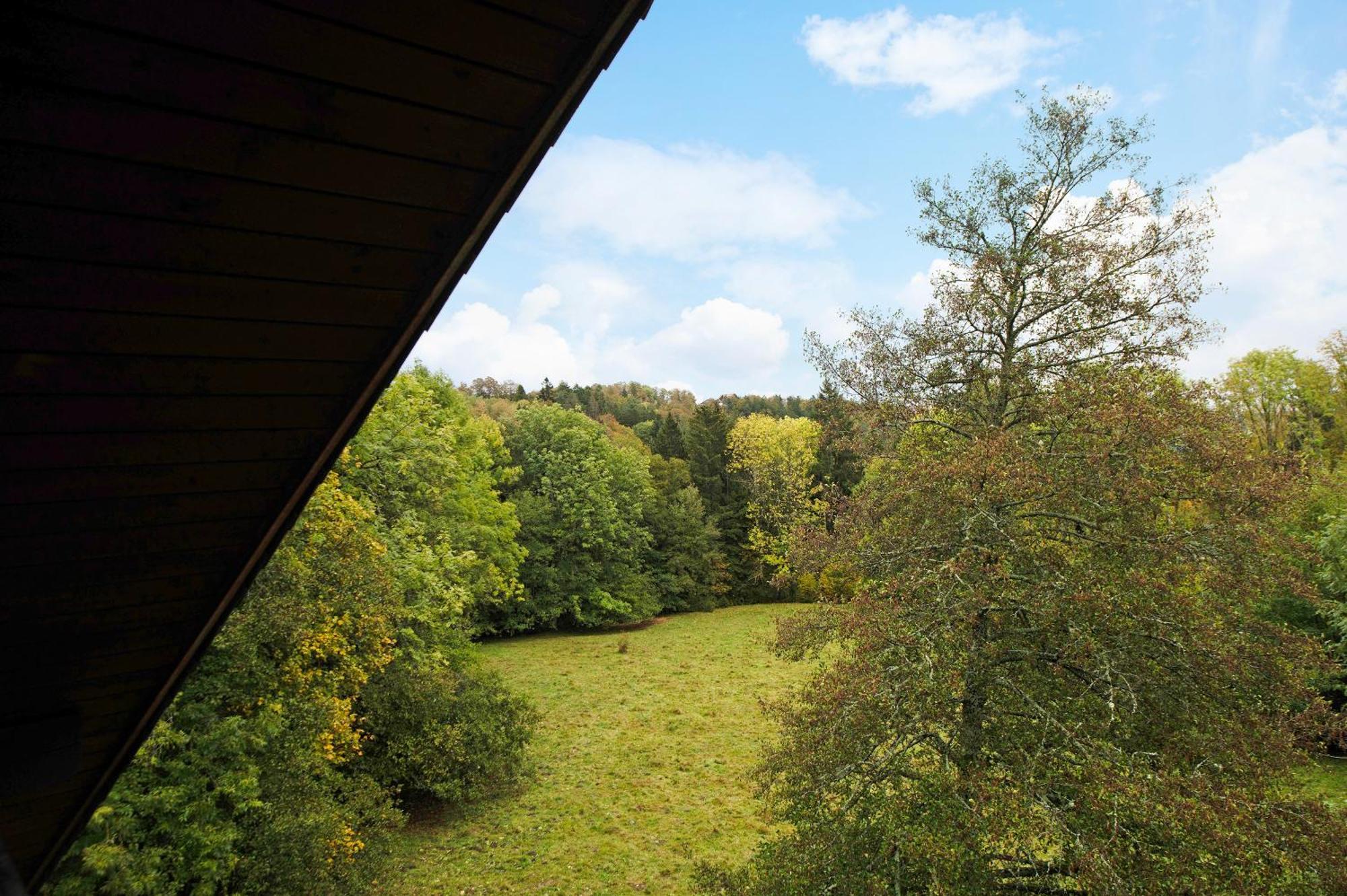 Landhaus Am Schmiedebach Wittenschwand Buitenkant foto