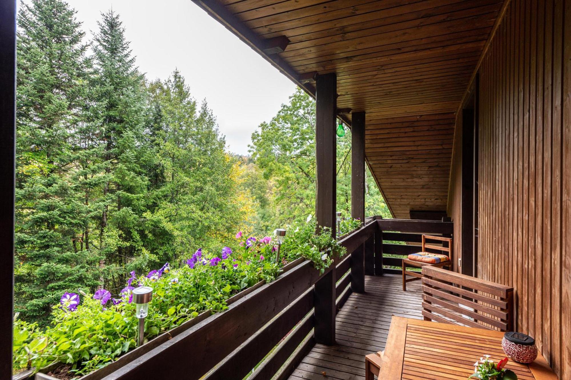 Landhaus Am Schmiedebach Wittenschwand Buitenkant foto