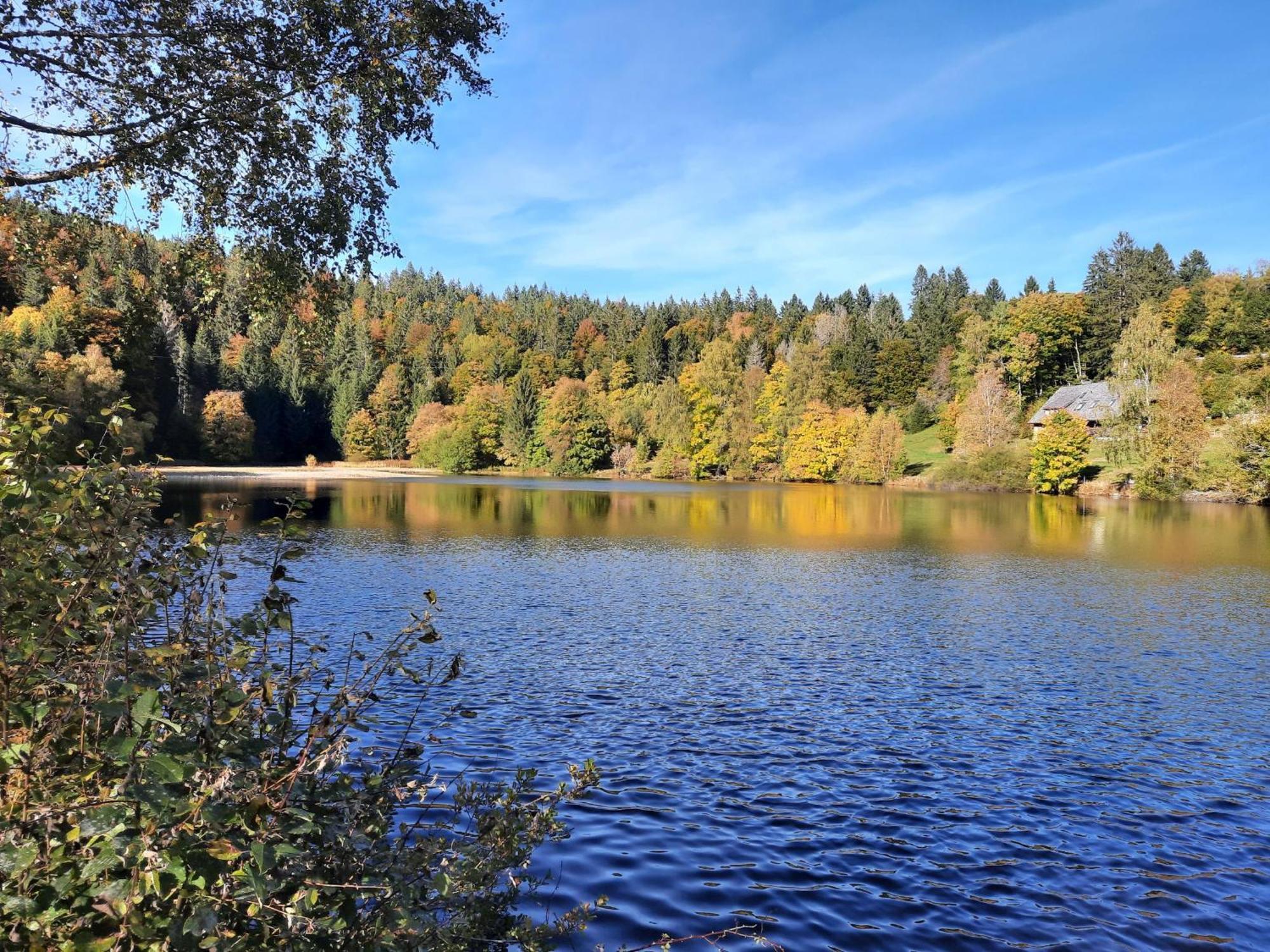 Landhaus Am Schmiedebach Wittenschwand Buitenkant foto